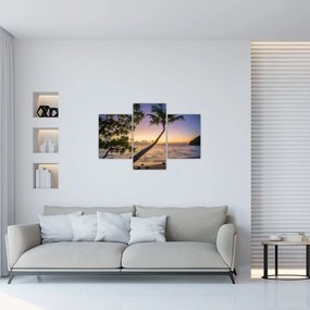 Tablou cu palmier pe plajă (90x60 cm)