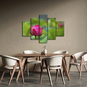 Tablou - floare de apă (150x105 cm)