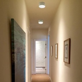 Plafonieră LED LED2 BUTTON LED/17W/230V argintie