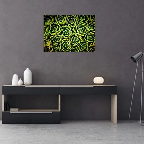 Tablou pe sticlă cu flori de piatră (70x50 cm)