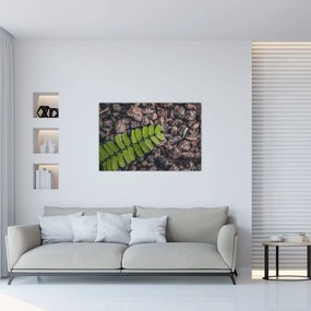 Tablou cu planta verde (90x60 cm)