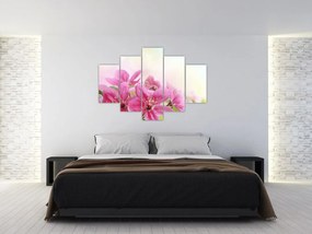 Tablou - Flori roz (150x105 cm)