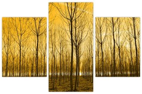 Tablou cu pădure în apus de soare (90x60 cm)