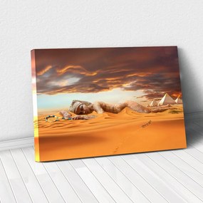 Tablou Canvas - Desert 40 x 65 cm