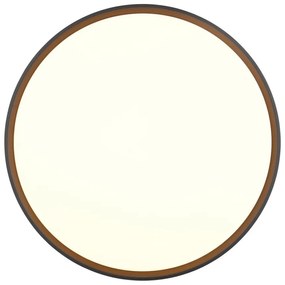 Plafonieră neagră-albă LED ø 47 cm Spacy – Trio