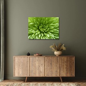Tablou - Imagine macro a unei plante (70x50 cm)