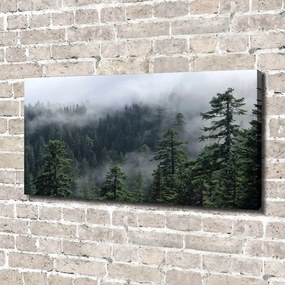 Imprimare tablou canvas Ceață pădure