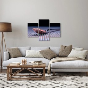Tablou cu oglindire (90x60 cm)