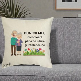 Cadou pentru Bunici - Perna Personalizata Bunicii Mei Comoara Cuplu Senior cu Flori Colorat, 40x40 cm, Ecru, Husa Detasabila, Perna Inclusa, BEKZ®