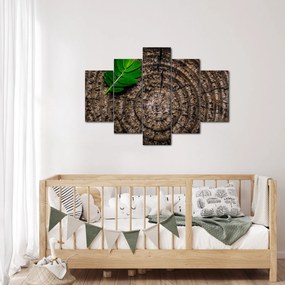 Tablou cu frunză pe trunchi de copac (150x105 cm)