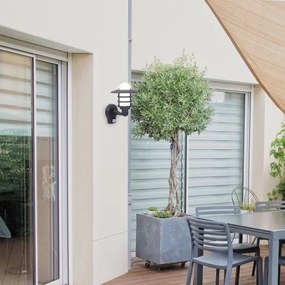 Rabalux 7679 - Aplică perete exterior DARRINGTON 1xE27/20W/230V IP44