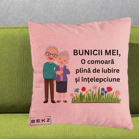 Cadou pentru Bunici - Perna Personalizata Bunicii Mei Comoara Cuplu Senior cu Flori Colorat, 40x40 cm, Roz, Husa Detasabila, Perna Inclusa, BEKZ®