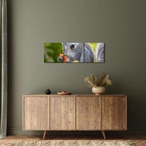 Tablou cu lemur (cu ceas) (90x30 cm)