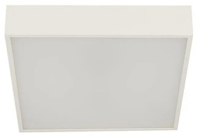 Plafoniera LED baie cu protectie IP44 Zeus 30x30cm, alb