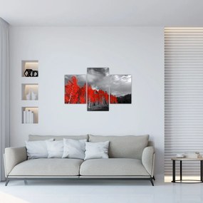 Tablou - Copaci în culorile toamnei (90x60 cm)
