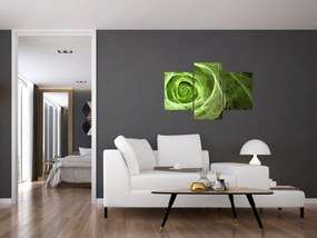 Tablou - Abstract Rose Green (90x60 cm)