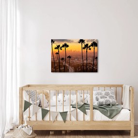 Tablou - Panorama din Los Angeles (70x50 cm)
