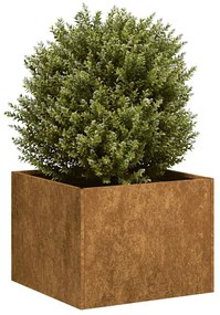 vidaXL Jardinieră Rusty 40x40x30 cm Oțel pentru intemperii