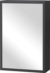 kleankin Dulap cu oglindă, 3 rafturi, balamale moi, carcasă din oțel, negru, 40 x 15 x 60 cm | Aosom Romania