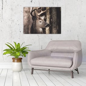Tablou pe sticlă - Cerb în pădure (70x50 cm)