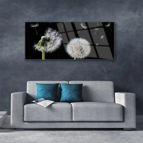 Tablouri acrilice Păpădie Floral Alb Negru