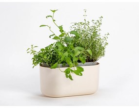 Jardinieră cu auto-irigare Plastia, bej,31 x 16 cm