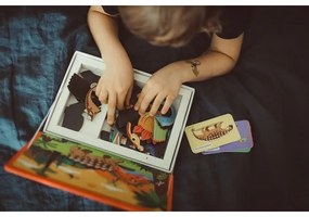 Janod - Set interactiv magnetic MAGNETIBOOK dinozauri