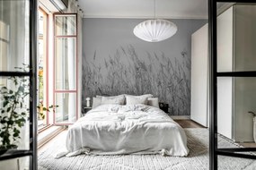 Fototapet, Reed Meadow, Gray, Rebel Walls