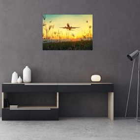 Tablou pe sticlă cu avion zburând (70x50 cm)