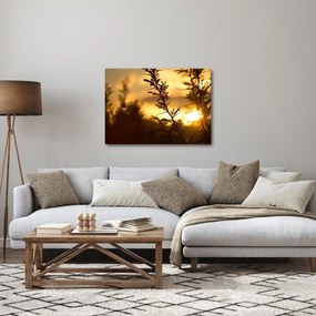 Tablou - Apus de soare (70x50 cm)