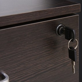 Vinsetto Dulap cu Sertare, 2 sertare si 5 roti, dulap Birou Compact pentru Documente , 40x44x54.6cm, Design Modern | Aosom Romania