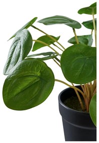 Plantă artificială (înălțime 28 cm) Pelia – House Nordic