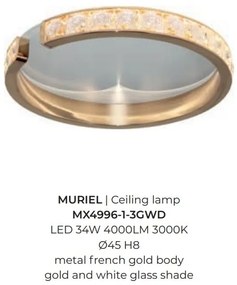 Plafoniera LED design deosebit MURIEL