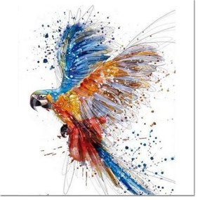 Pictura pe numere cu un cadru "Papagal" 50x40 cm
