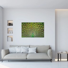Tablou - Peacock (90x60 cm)