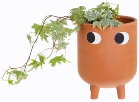 Ghiveci din teracotă Sass &amp; Belle Leggy, ø 12,1 cm