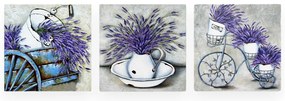 Tablouri 3 buc. 30x30 cm Lavender – Wallity