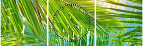 Tablou - Frunze de palmier (cu ceas) (90x30 cm)