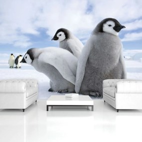 Fototapet - Pinguini (254x184 cm), în 8 de alte dimensiuni noi
