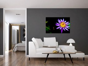 Tablou cu floare (90x60 cm)