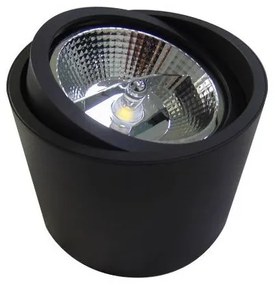 Spot aplicat directionabil de tavan/plafon ALIX negru ZZ AZ3540