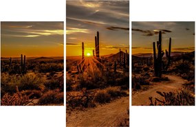 Tablou - Sfărșit de zi în deșertul Arizona (90x60 cm)