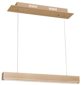 LED Lustră pe cablu TIMBER LED/12W/230V