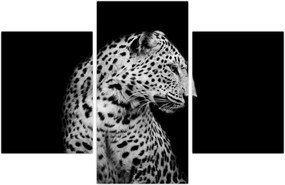 Tablou - Leopardul (90x60 cm)