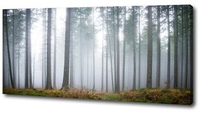 Print pe canvas Ceață în pădure
