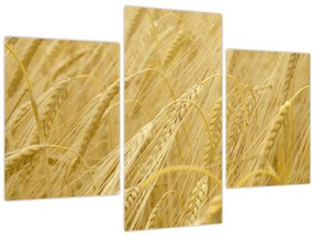 Tablou - Orz (90x60 cm)