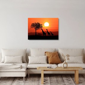 Tablou pe sticlă cu girafe în apus de soare (70x50 cm)