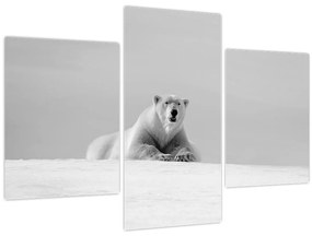 Tablou - Ursul polar (90x60 cm)