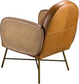 Fotoliu design LUX, Ratan, Piele Naturala 5162