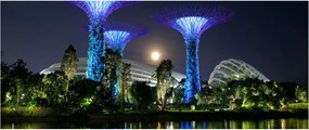Tablou cu lună plină în grădinile din Singapur (120x50 cm)